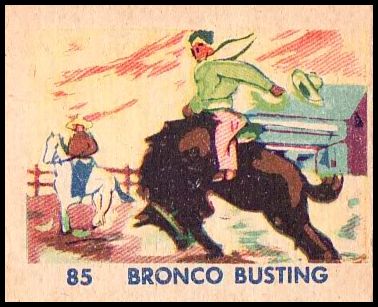 85 Bronco Busting